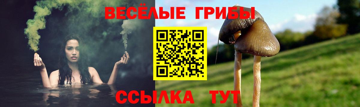 Галлюциногенные грибы GOLDEN TEACHER  Вход с VPN  закладка  Сатка 